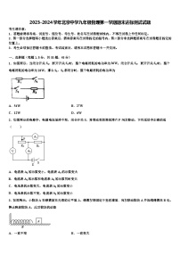 2023-2024学年北京中学九年级物理第一学期期末达标测试试题