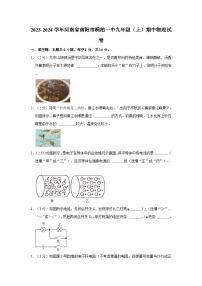 河南省南阳市桐柏一中2023-2024学年九年级上学期期中物理试卷