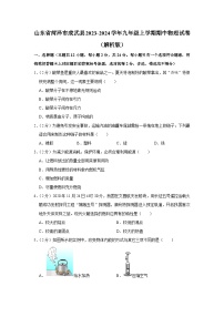 山东省菏泽市成武县2023-2024学年九年级上学期期中物理试卷