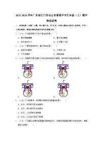 广东省江门市台山市育英中学2023-2024学年九年级上学期期中物理试卷