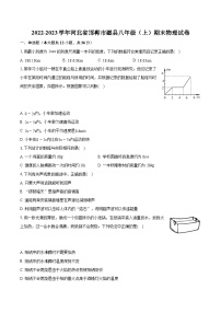 2022-2023学年河北省邯郸市磁县八年级（上）期末物理试卷（含答案解析）