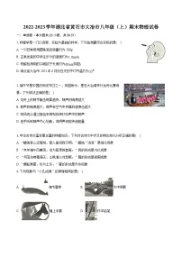 2022-2023学年湖北省黄石市大冶市八年级（上）期末物理试卷（含答案解析）