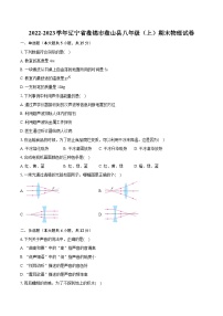 2022-2023学年辽宁省盘锦市盘山县八年级（上）期末物理试卷（含答案解析）