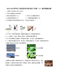 2022-2023学年辽宁省沈阳市苏家屯区八年级（上）期末物理试卷（含答案解析）