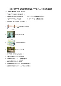 2022-2023学年山东省聊城市冠县八年级（上）期末物理试卷(含详细答案解析)