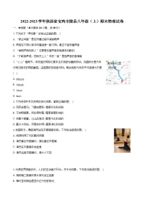 2022-2023学年陕西省宝鸡市陇县八年级（上）期末物理试卷(含答案解析)