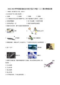 2022-2023学年陕西省延安市洛川县八年级（上）期末物理试卷(含答案解析)