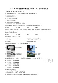 2022-2023学年新疆吐鲁番市八年级（上）期末物理试卷(含答案解析)