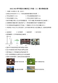 2022-2023学年重庆市南岸区八年级（上）期末物理试卷(含答案解析)