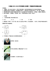 江西省2023-2024学年物理九年级第一学期期末检测模拟试题