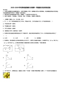 2023-2024学年贵州省物理九年级第一学期期末质量检测试题