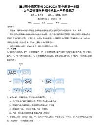 广东省广州市清华附中湾区学校2023-2024学年九年级上学期期中物理试题