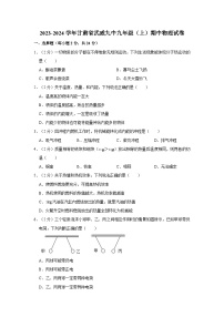 2023-2024学年甘肃省武威九中九年级（上）期中物理试卷