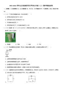 山东省泰安市东平县2023-2024学年九年级上学期期中物理试卷