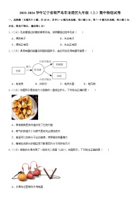 辽宁省葫芦岛市龙港区2023-2024学年九年级上学期期中物理试卷