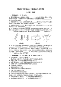 河南省南阳市桐柏县育英学校2023-2024学年九年级上学期12月月考物理试题