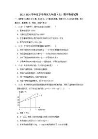 2023-2024学年辽宁省丹东十九中九年级（上）期中物理试卷