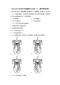 2023-2024学年四川省成都市石室双楠实验学校九年级（上）期中物理试卷