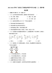 广东省江门市新会华侨中学2023-2024学年九年级上学期期中考试物理试卷