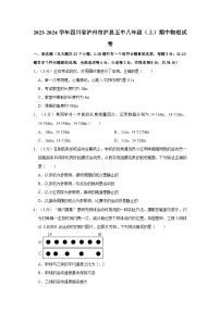 四川省泸州市泸县第五中学2023-2024学年八年级上学期期中物理试卷