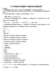 2023年安徽省九年级物理第一学期期末复习检测模拟试题