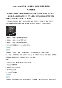 内蒙古自治区赤峰市松山区2023-2024学年九年级上学期11月期中物理试题（解析版）