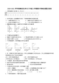 2020-2021学年湖南省长沙市八年级上学期期中物理试题及答案