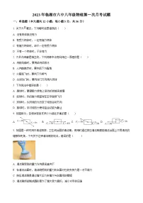 湖南省岳阳市临湘市第六中学2022-2023学年八年级下学期3月月考物理试题