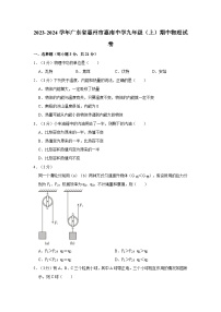 广东省惠州市惠南学校2023-2024学年九年级上学期期中考试物理试卷