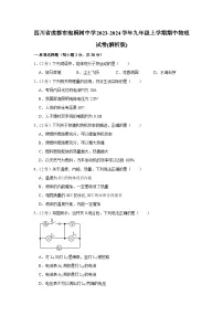 四川省成都市泡桐树中学2023-2024学年九年级上学期期中物理试卷