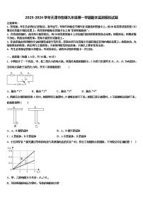 2023-2024学年天津市物理九年级第一学期期末监测模拟试题