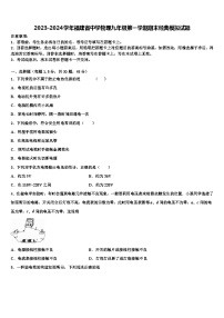 2023-2024学年福建省中学物理九年级第一学期期末经典模拟试题