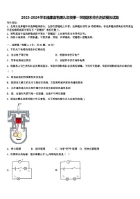 2023-2024学年福建省物理九年级第一学期期末综合测试模拟试题