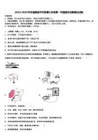 2023-2024学年福建省中学物理九年级第一学期期末经典模拟试题 (2)