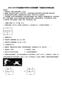 2023-2024学年福建省中学联考九年级物理第一学期期末统考模拟试题