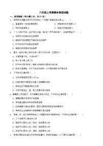 广东省湛江市吴川市2023年八年级上学期期末物理试题附答案
