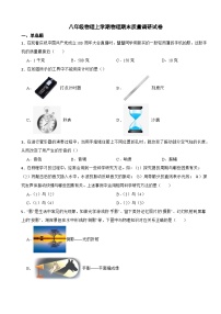 上海市杨浦区2023年八年级物理上学期物理期末质量调研试卷附答案