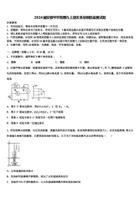 2024届安徽中学物理九上期末质量跟踪监视试题