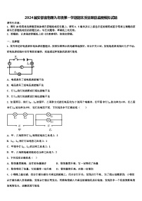 2024届安徽省物理九年级第一学期期末质量跟踪监视模拟试题