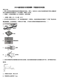 2024届安徽省九年级物理第一学期期末统考试题