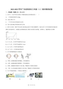 2022-2023年深圳中学八年级（上）期末物理试卷