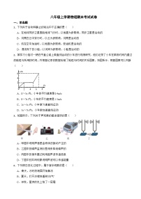 湖北省荆门市沙洋县2023年八年级上学期物理期末考试试卷附答案