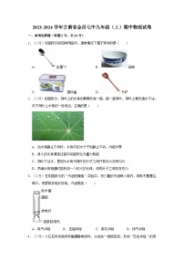 甘肃省金昌七中2023-2024学年九年级上学期期中物理试卷+