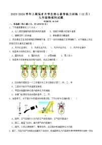 福建省龙岩市连城县冠豸片区2023-2024学年九年级上学期12月核心能力素养测试物理试题