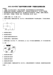 2023-2024学年广东省中学物理九年级第一学期期末监测模拟试题