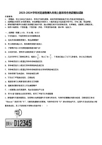 2023-2024学年河北省物理九年级上期末综合测试模拟试题