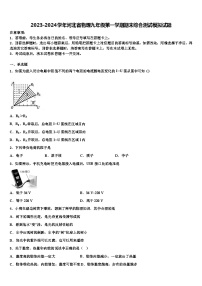 2023-2024学年河北省物理九年级第一学期期末综合测试模拟试题