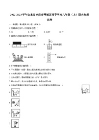 2022-2023学年山东省枣庄市峄城区荀子学校八年级（上）期末物理试卷（含解析）