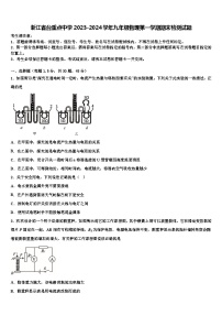 浙江省台重点中学2023-2024学年九年级物理第一学期期末检测试题