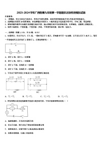 2023-2024学年广西物理九年级第一学期期末达标检测模拟试题